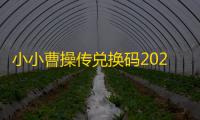 小小曹操传兑换码2025最新